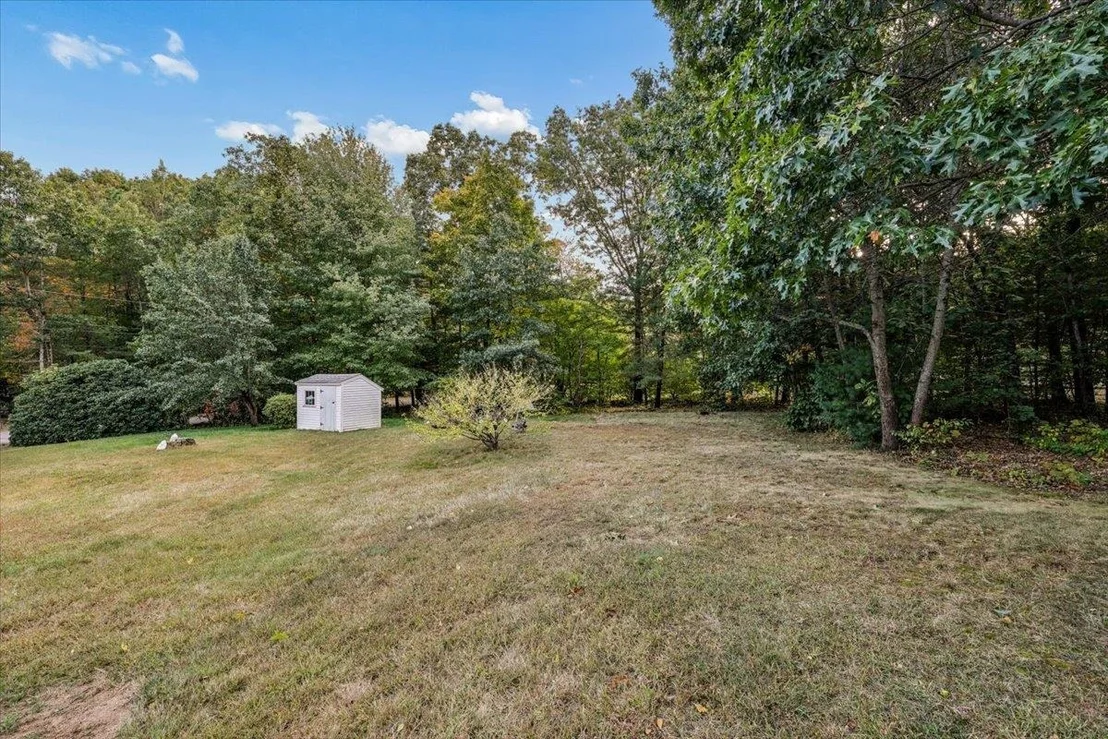 Photo of 30 Whippoorwill