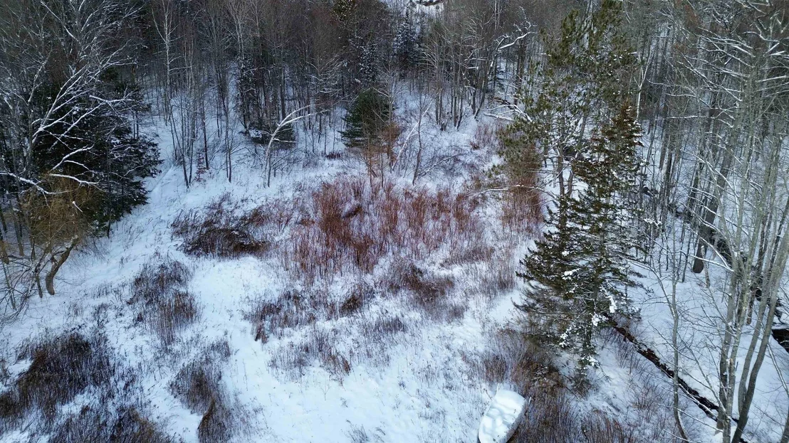 Photo of 142 Brooks
