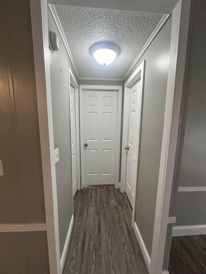 Photo of 7 Hemlock