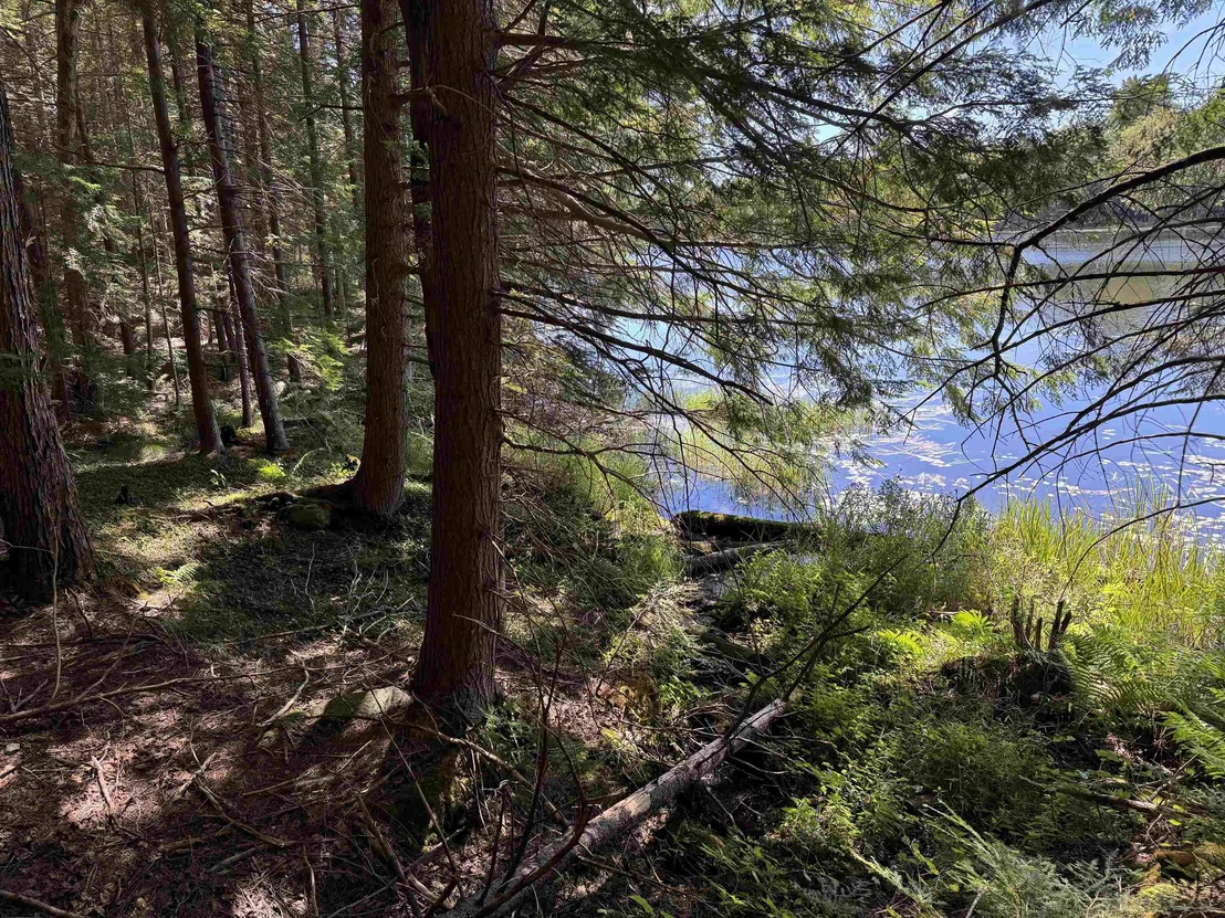 Photo of 00 Lake Hill