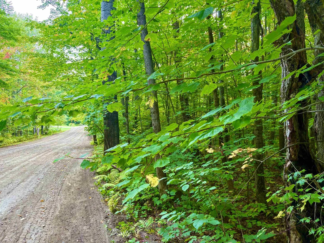 Photo of 0 Partridge Hollow