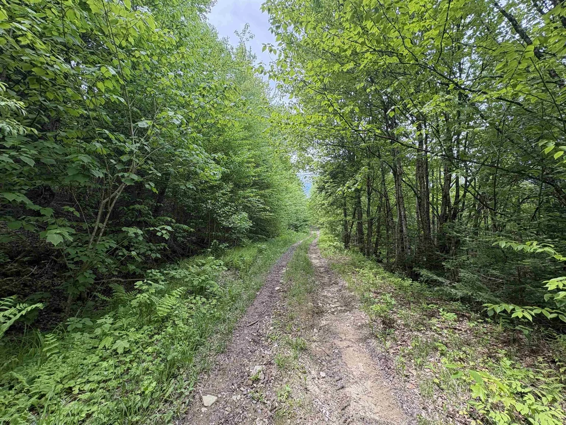 Photo of 0 Old Pond Hill