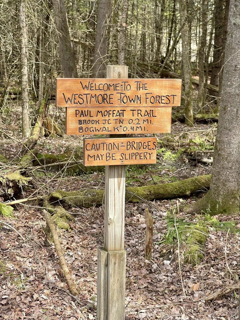 Photo of 00 Peene Hill
