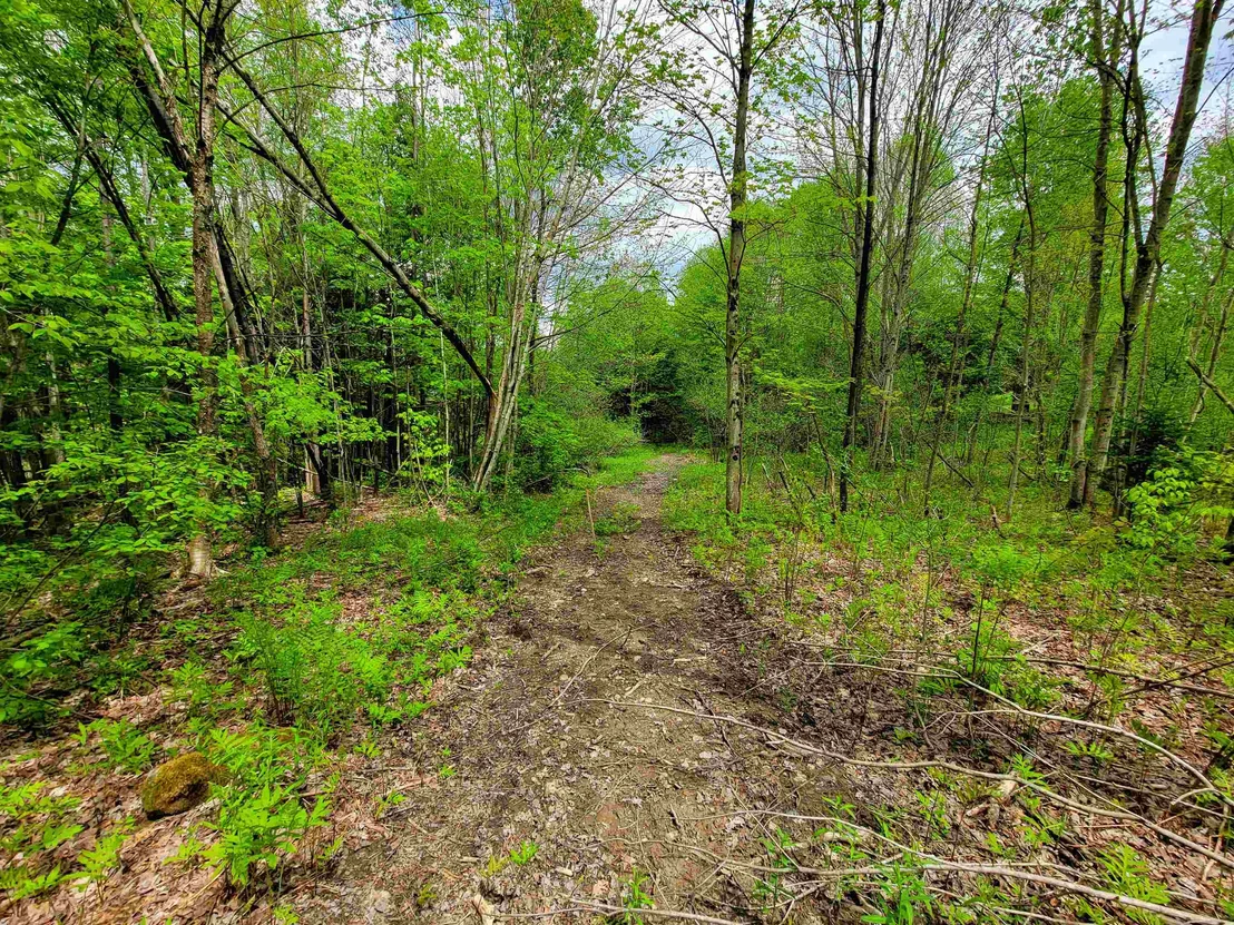 Photo of 167 High Meadow