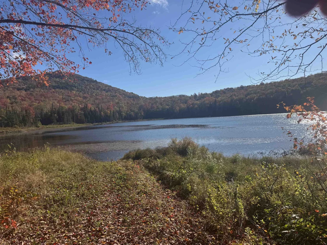 Photo of 915 Wheeler Mountain