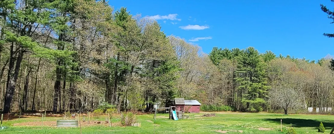 Photo of 21 Cedar