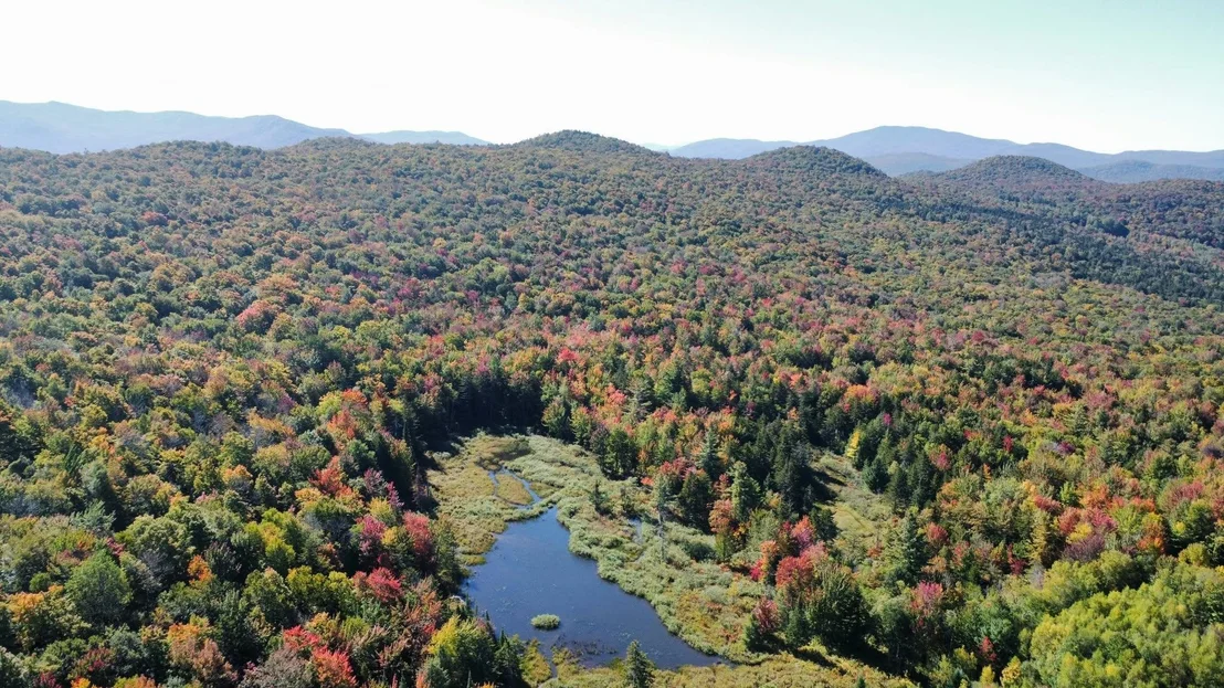 Photo of 689 Black Falls