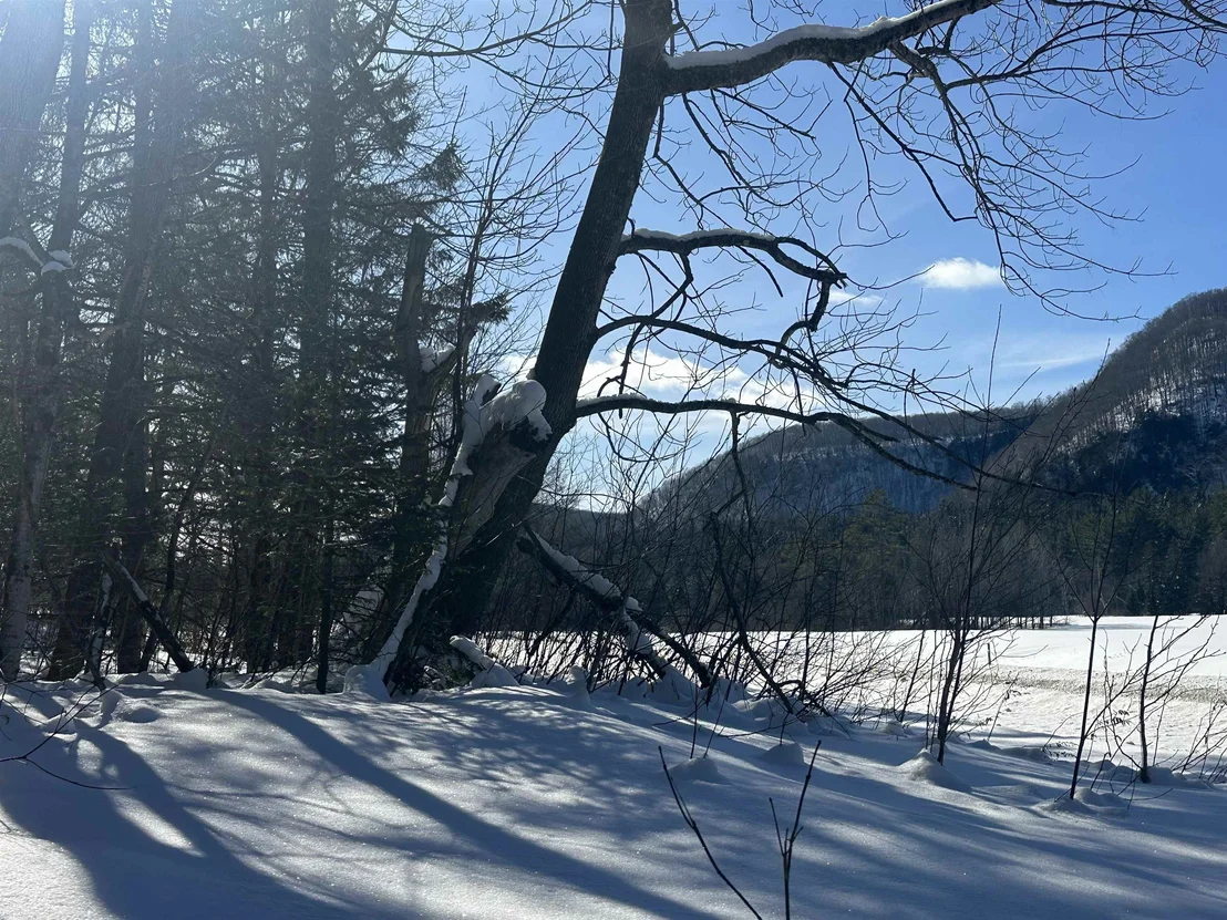 Photo of 9 Dry Pond