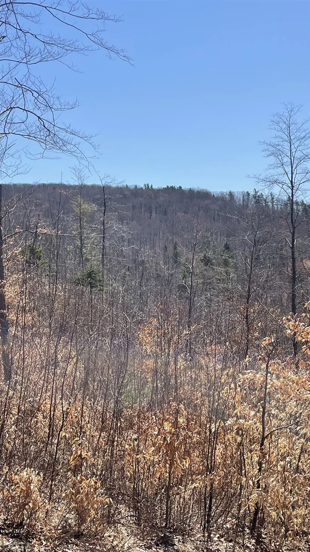 Photo of Unit LOT3 at 0 Oregon