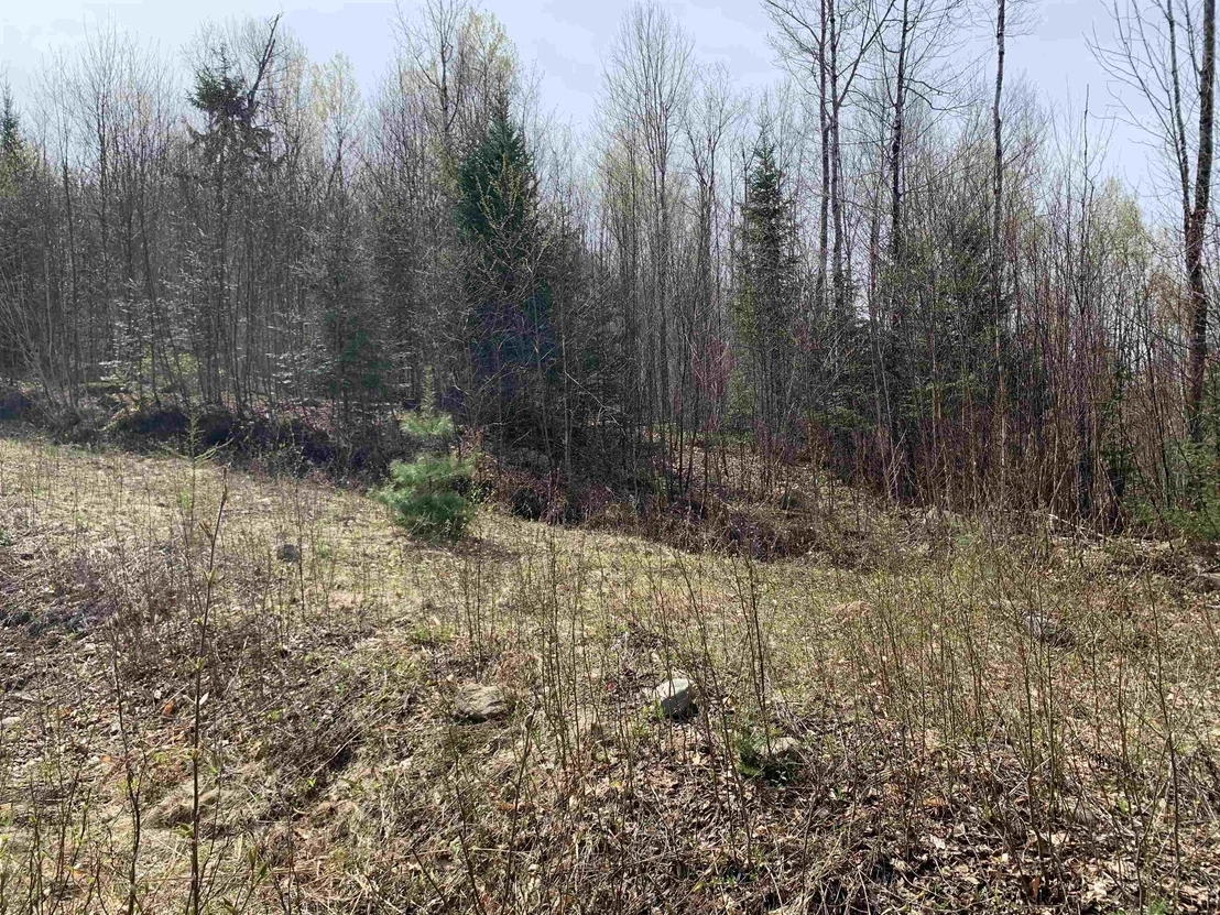 Photo of Lots 13 & 22.4 Washburn