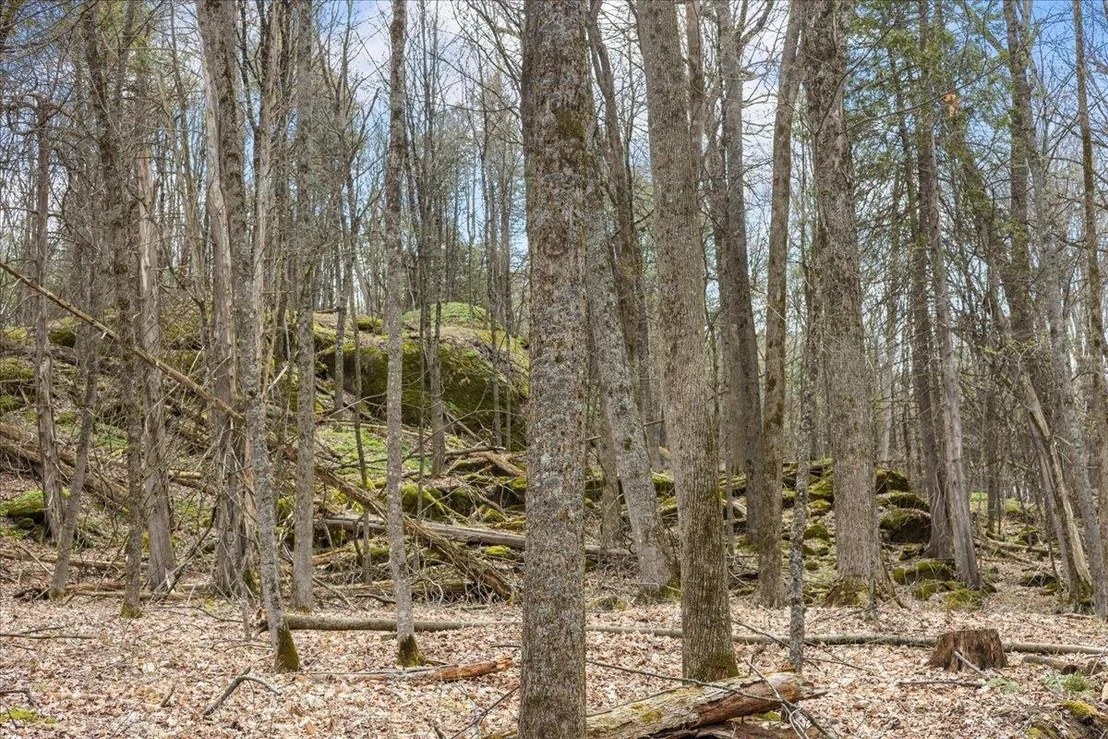 Photo of Unit LOT1 at 0 Bullock