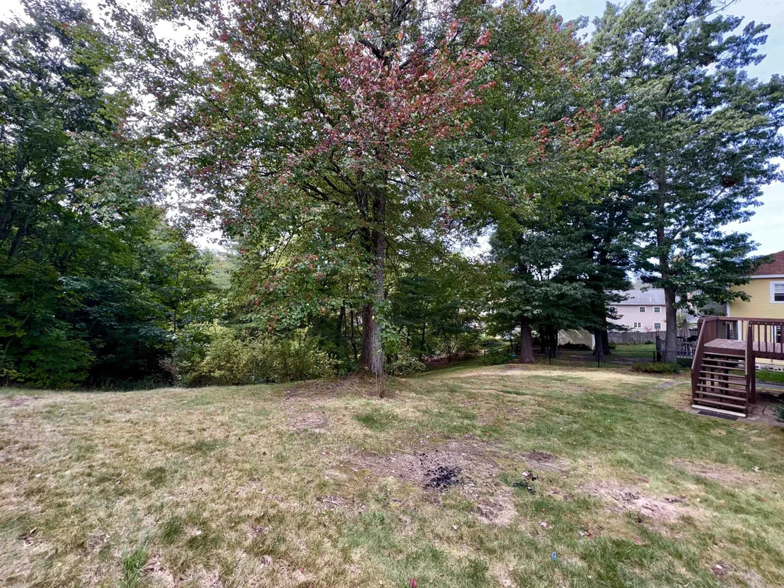 Photo of 15 Topaz