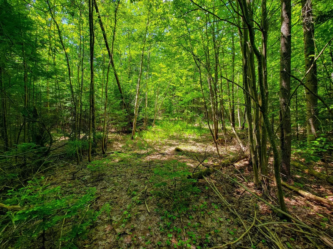 Photo of 280 Gorham Hill