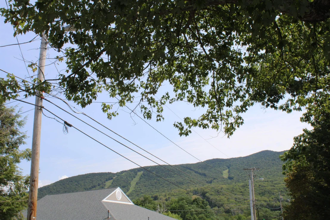 Photo of 13 Maple
