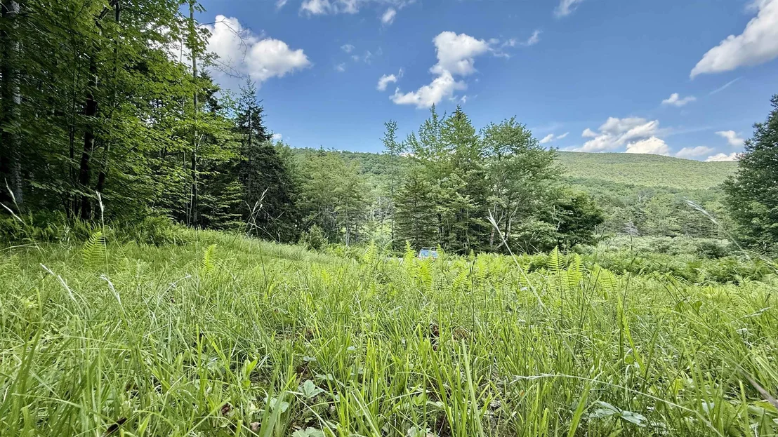 Photo of 2075 Codding Hollow