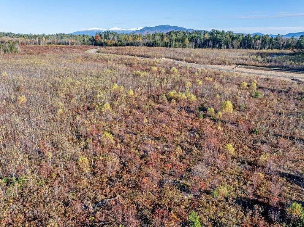 Photo of Lot 2 McIntyre