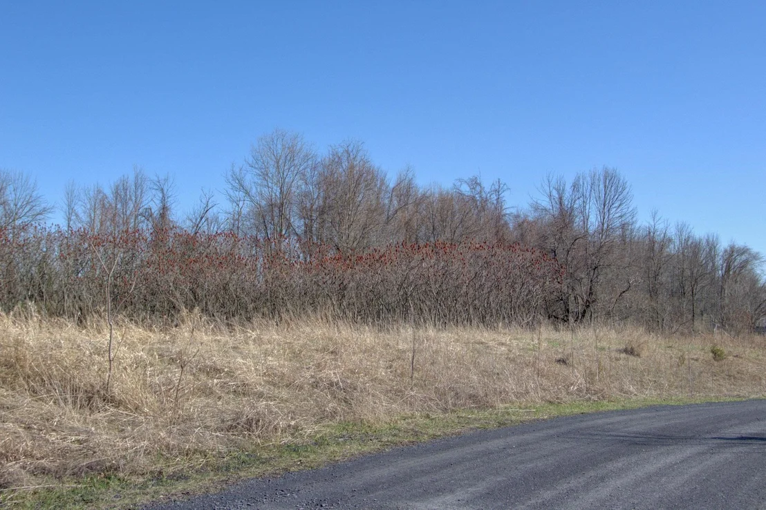 Photo of Unit LOT5 at 220 Terrapin