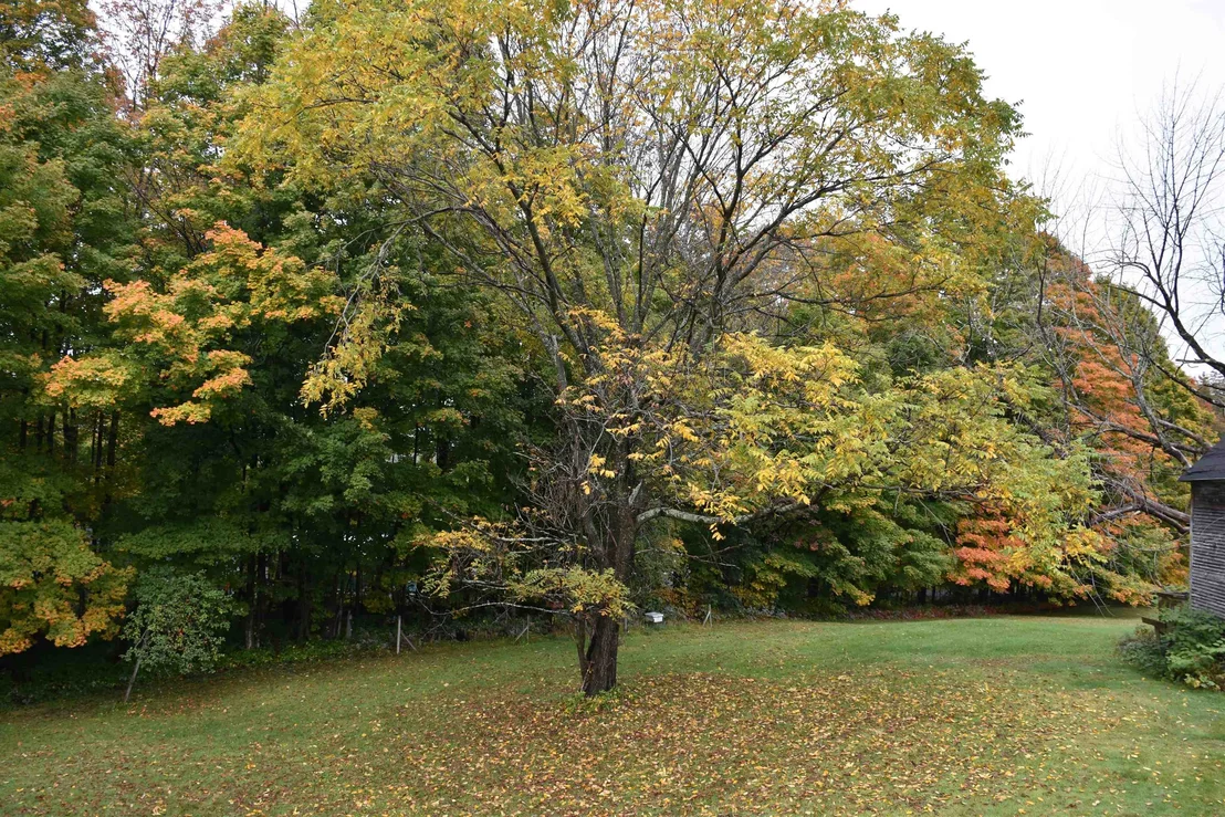 Photo of 177 Websterville
