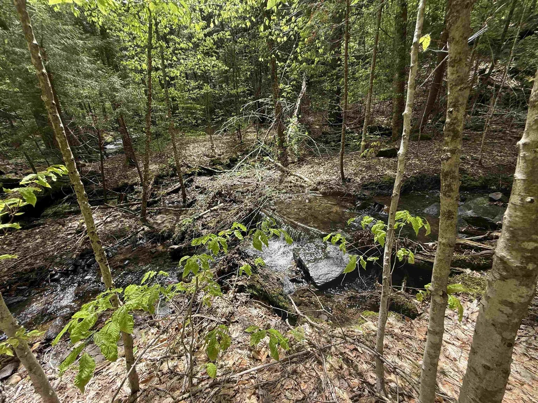 Photo of 87 Mirror Lake