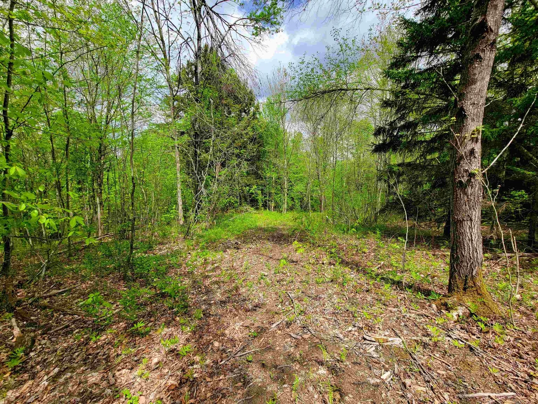 Photo of 167 High Meadow