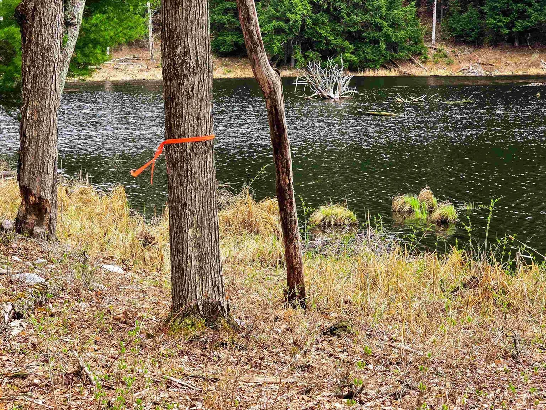Photo of 765 Camp