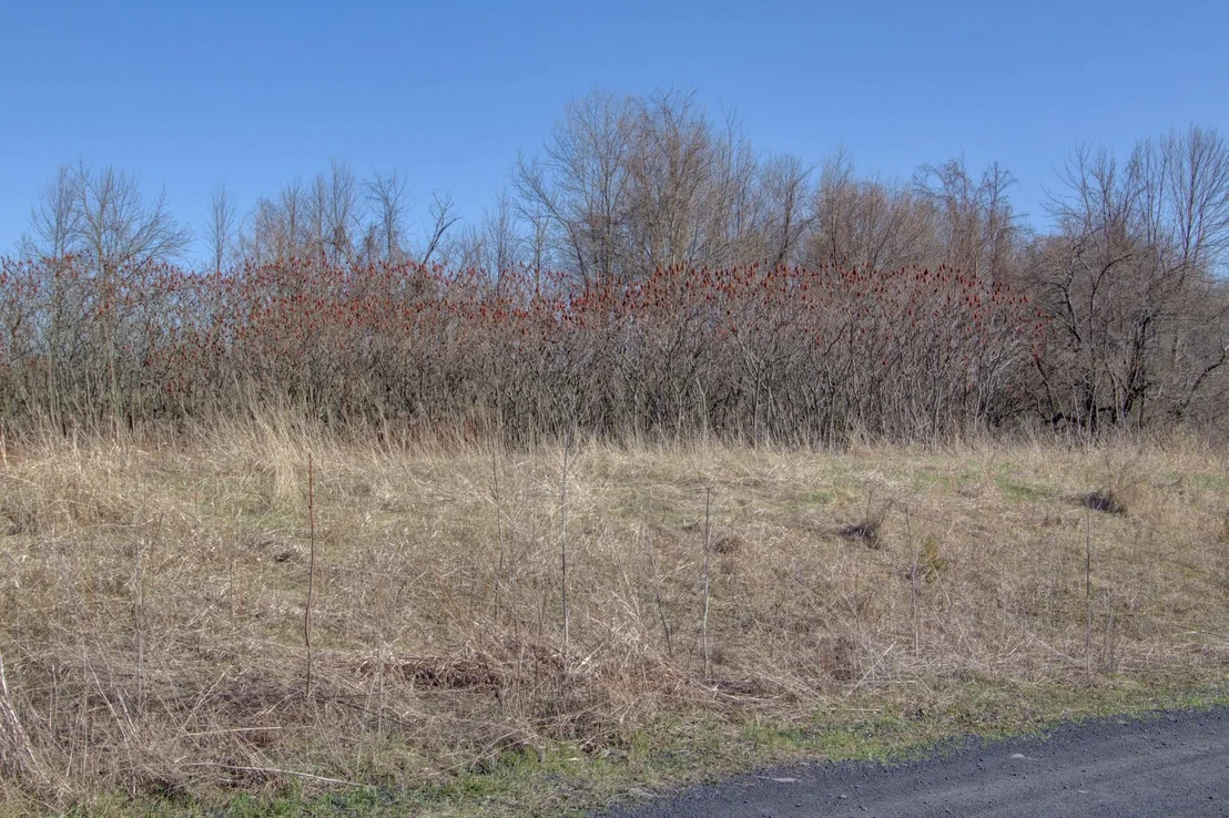 Photo of Unit LOT5 at 220 Terrapin