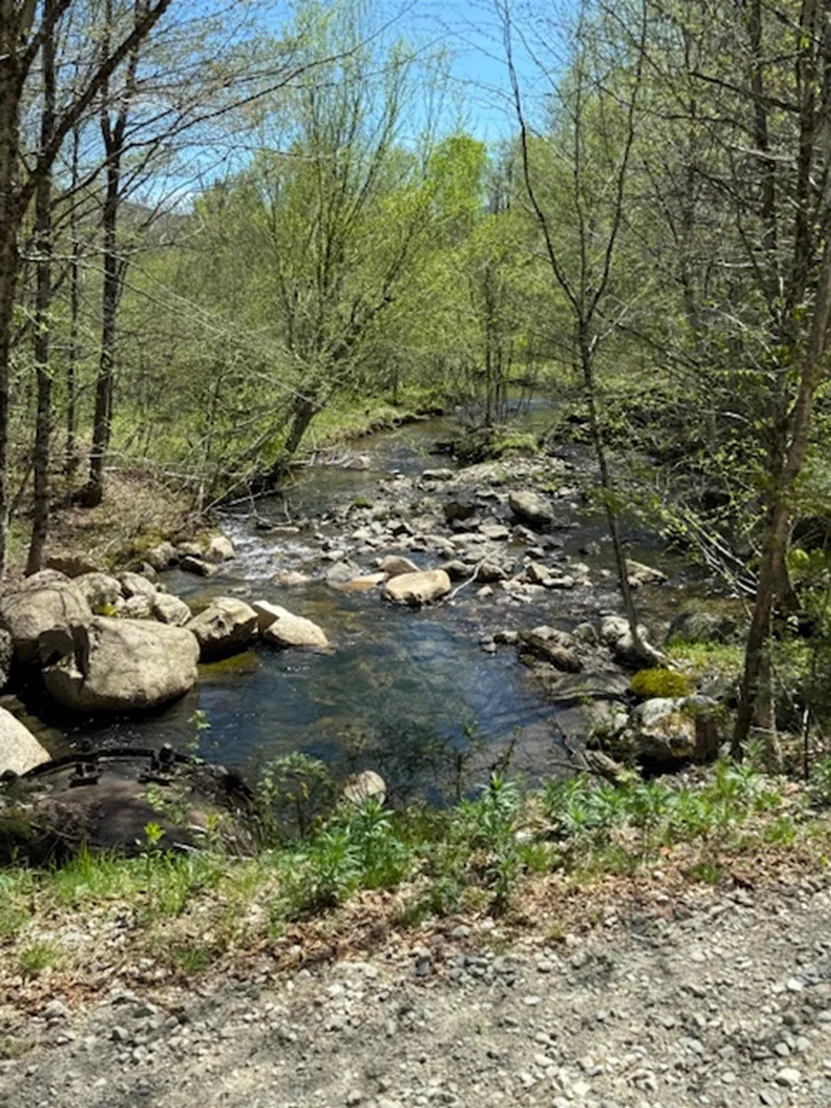 Photo of 2191 Nash Stream