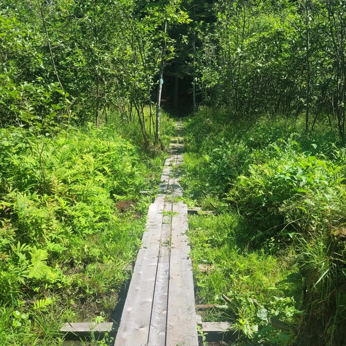 Photo of 102 River Bend Meadow