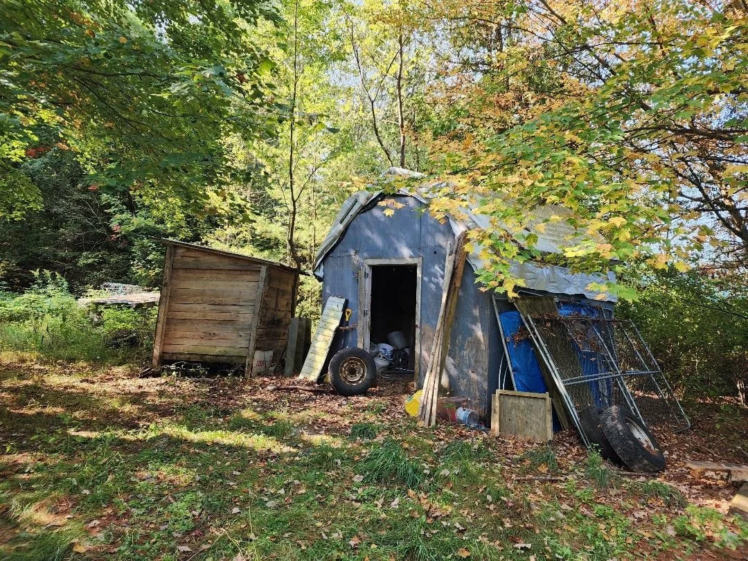 Photo of 24 Pine