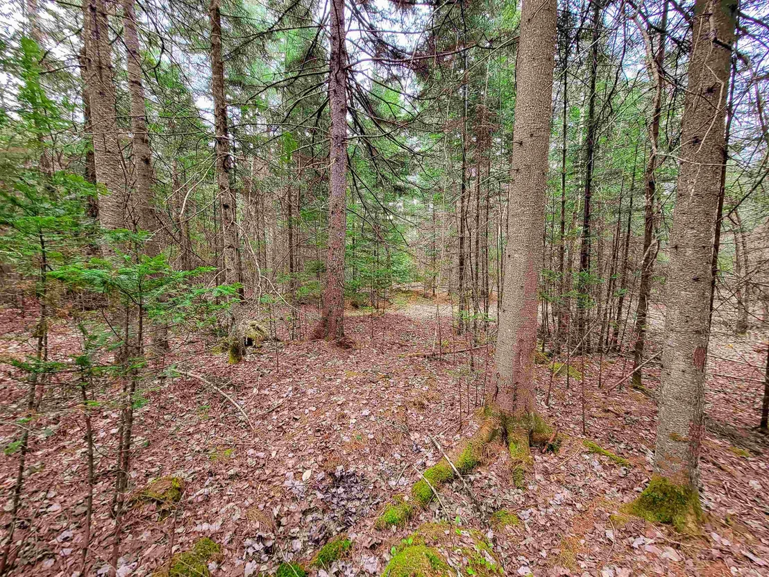 Photo of 280 Guyette