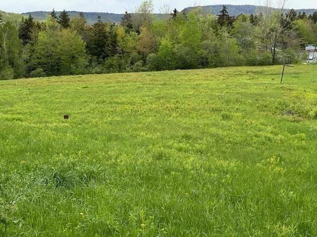 Photo of 309 VT Route 100
