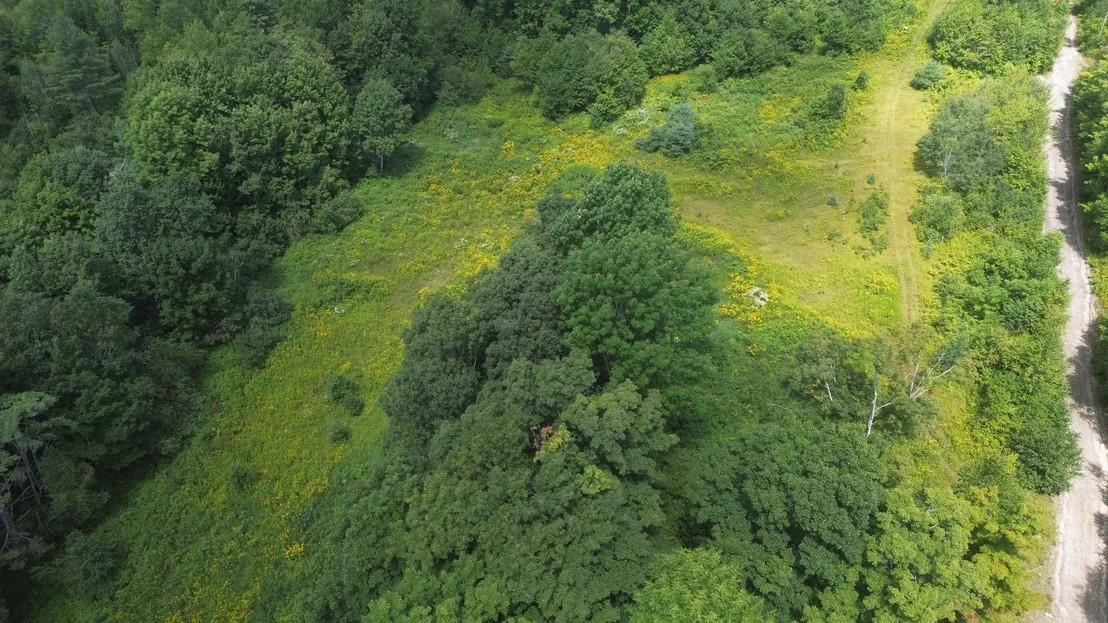 Photo of 0 Old Pond Hill
