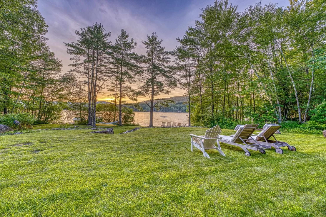Photo of 11 Squamasee