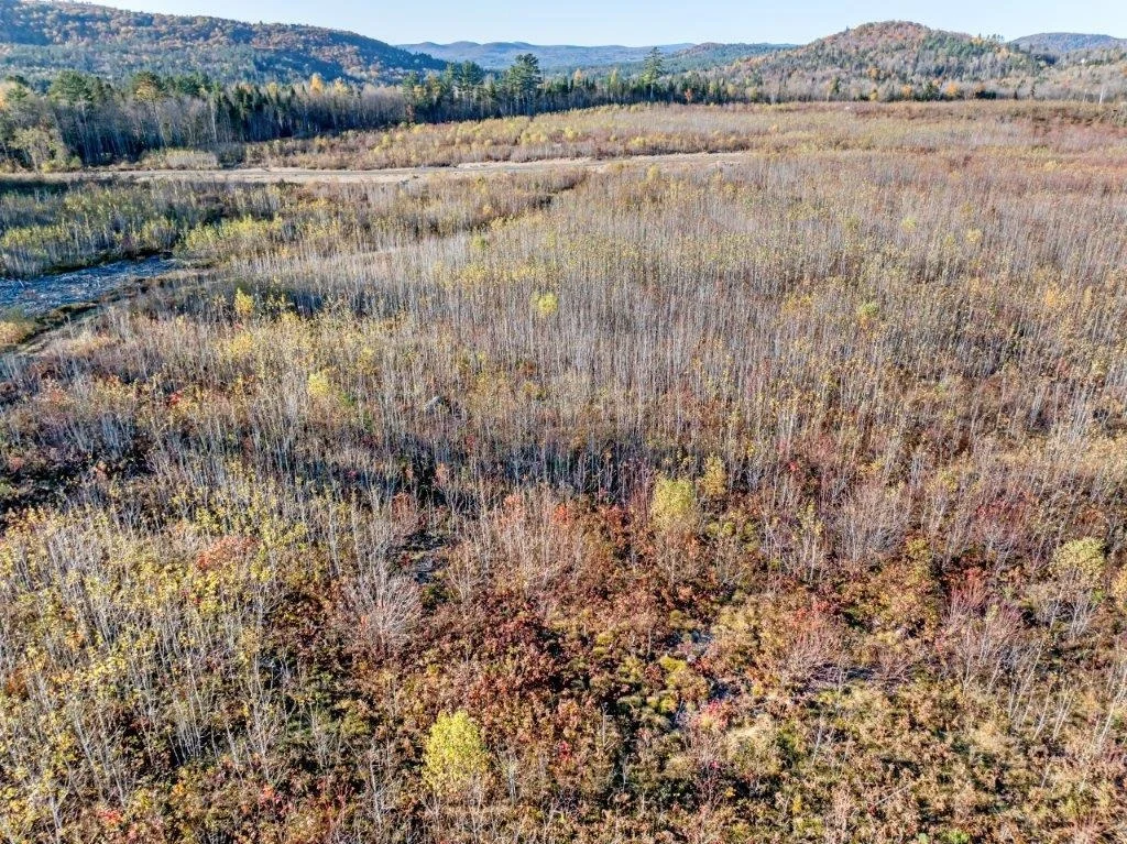 Photo of Lot 8 McIntyre