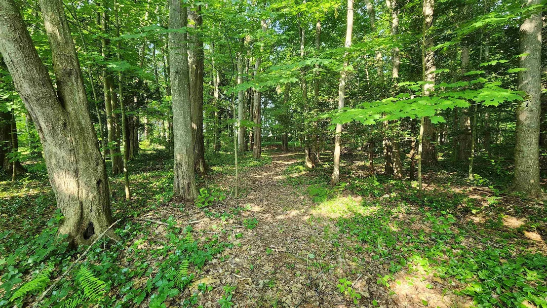 Photo of Unit MAP161LOT44 at Towle