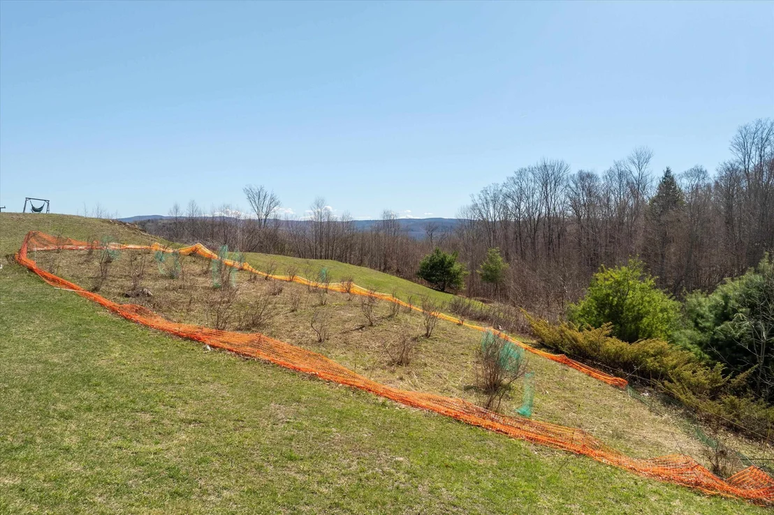 Photo of 167 Ward Hill