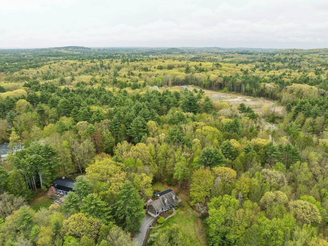 Photo of 12 Hemlock