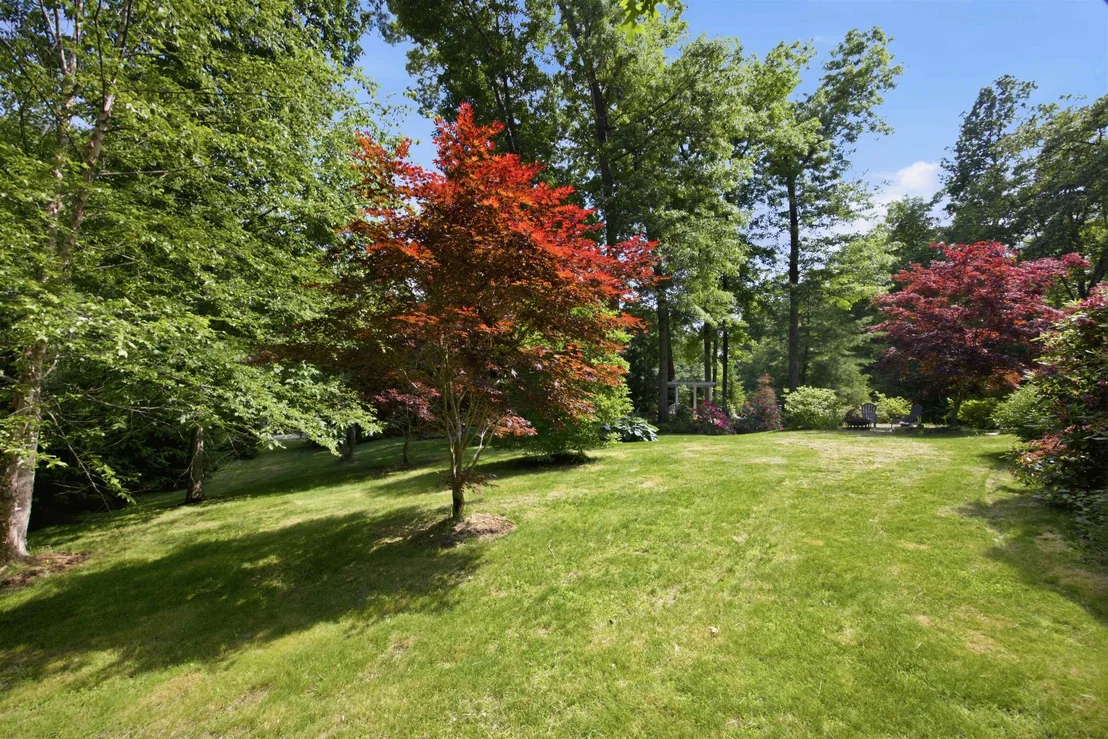 Photo of 8 Evergreen