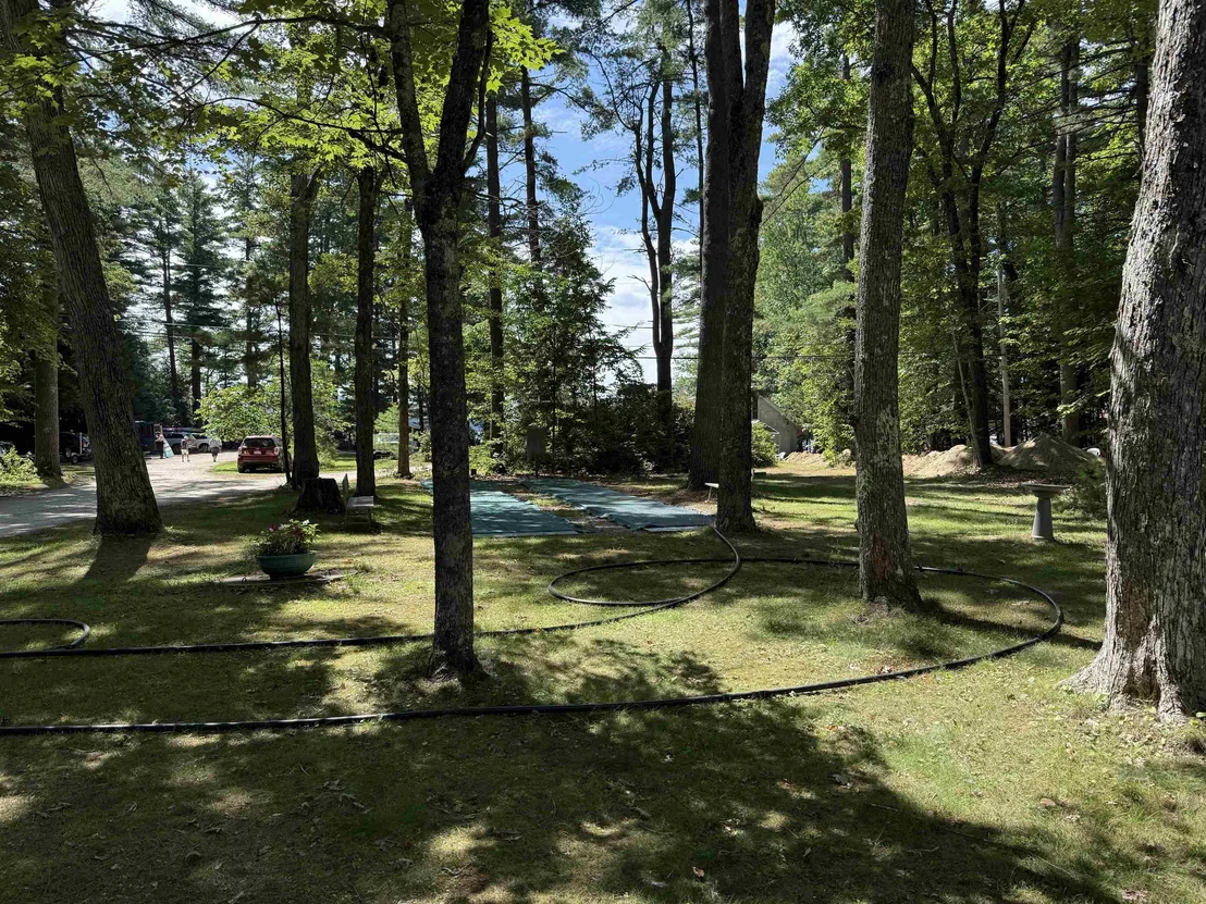 Photo of 11 Pine