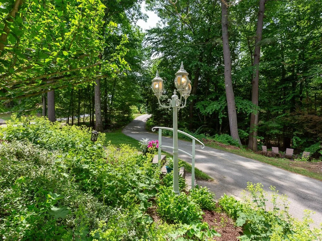 Photo of 6 Tamarack