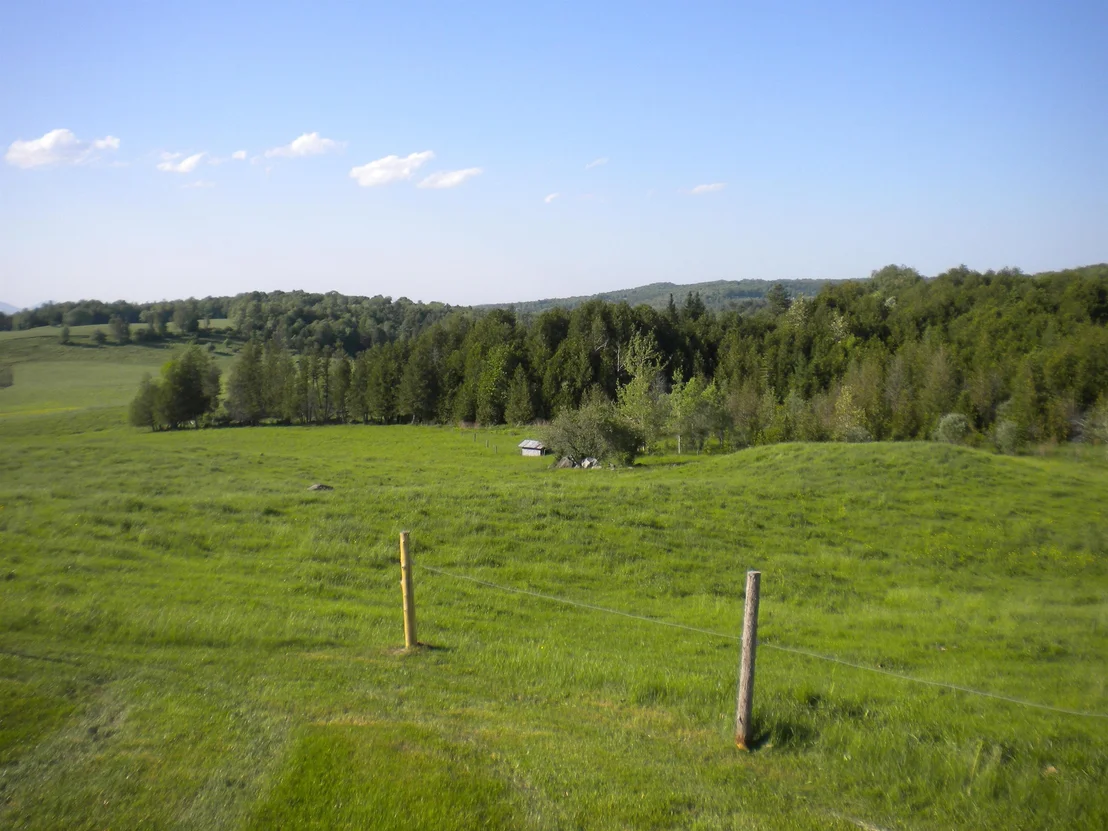 Photo of 2570 Maple Hill