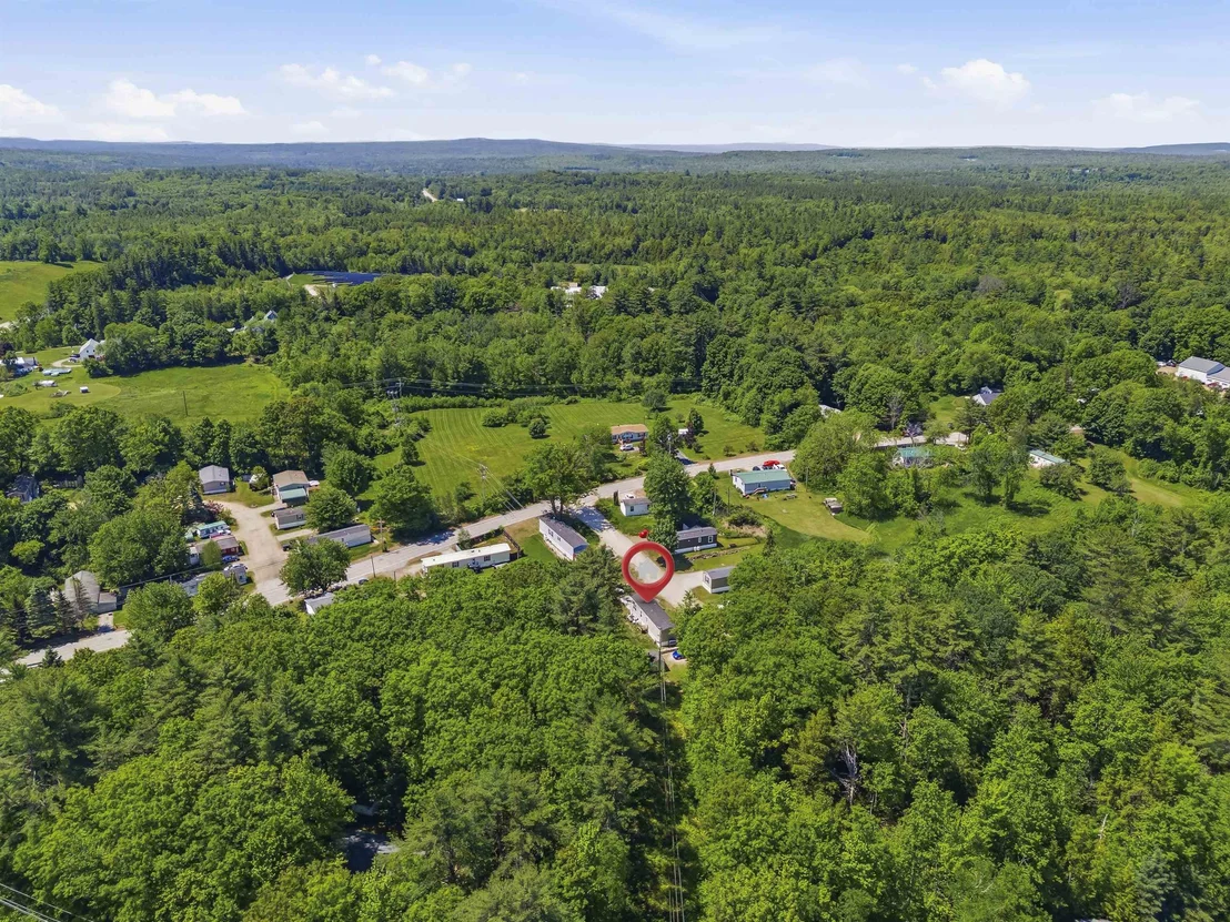 Photo of 11 Daisy