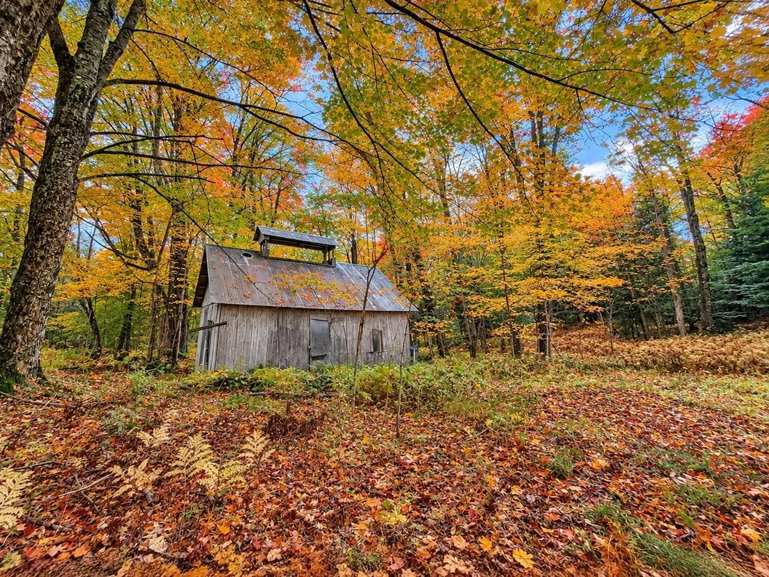 Photo of 00 Old Farm