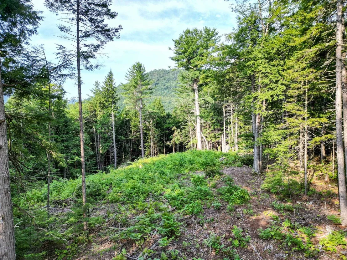 Photo of F4 Cave Mountain