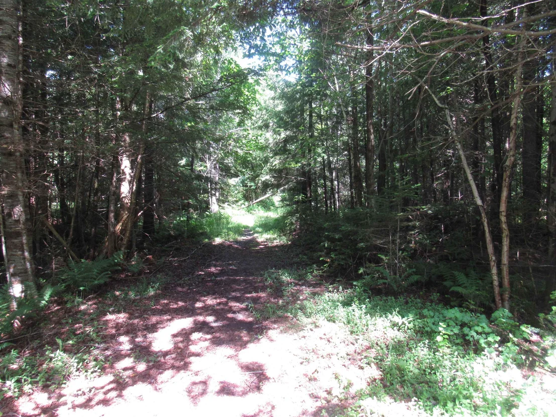 Photo of 1239 Baldwin Brook