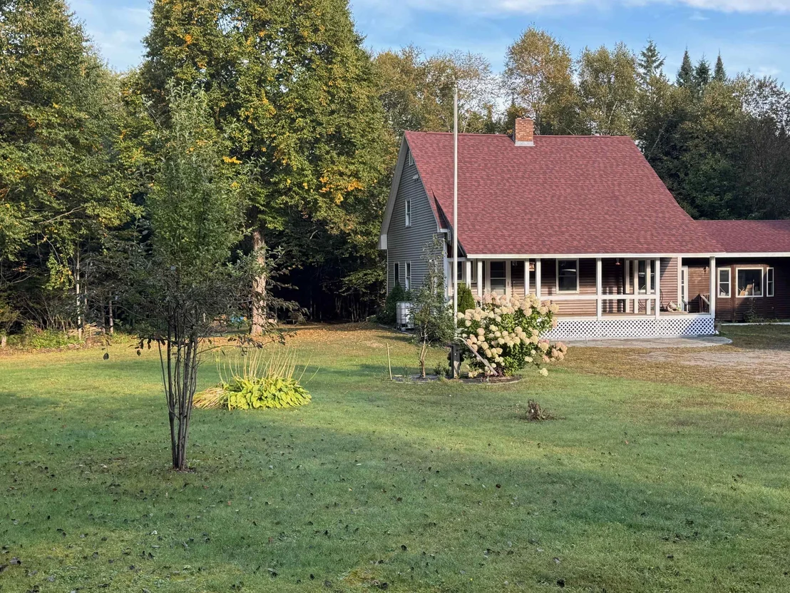 Photo of 20 Moose