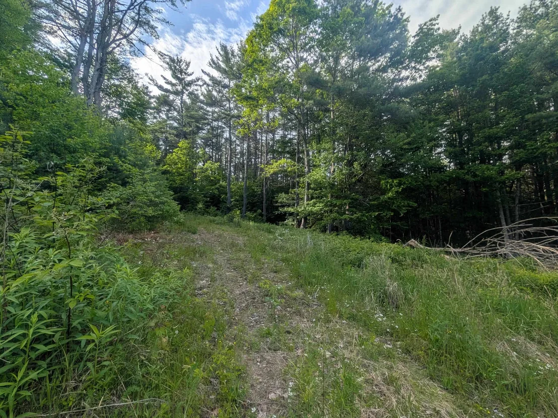 Photo of 198 Quechee