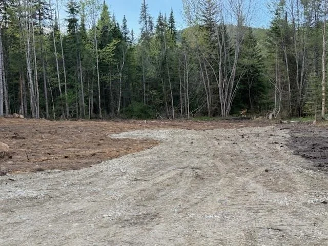 Photo of Lot 56 Faraway
