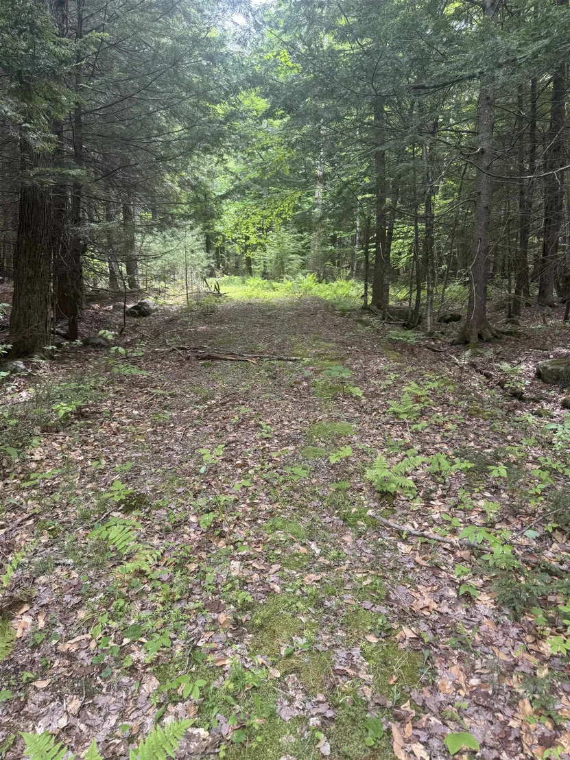 Photo of Lot 13 Beach Pond