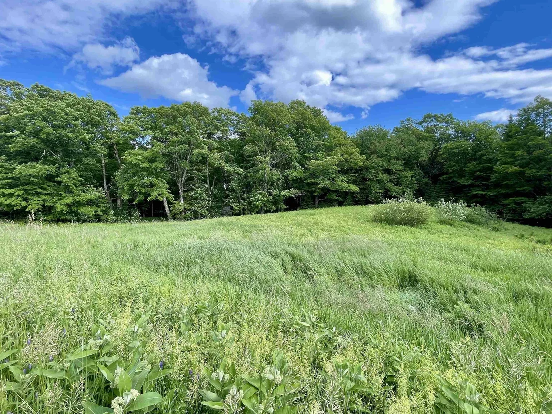 Photo of 00 Old Farm